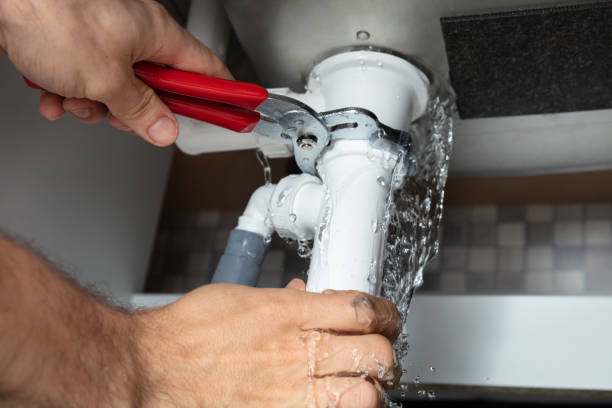 Best Professional water damage repair  in Liberty, NC