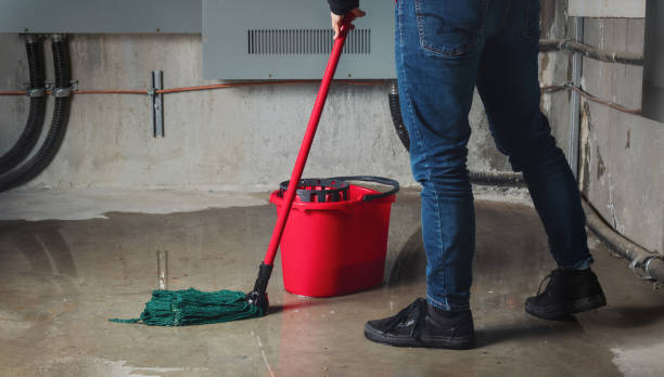 Best Fire Damage Restoration  in Liberty, NC