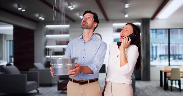 Best Basement water damage restoration  in Liberty, NC